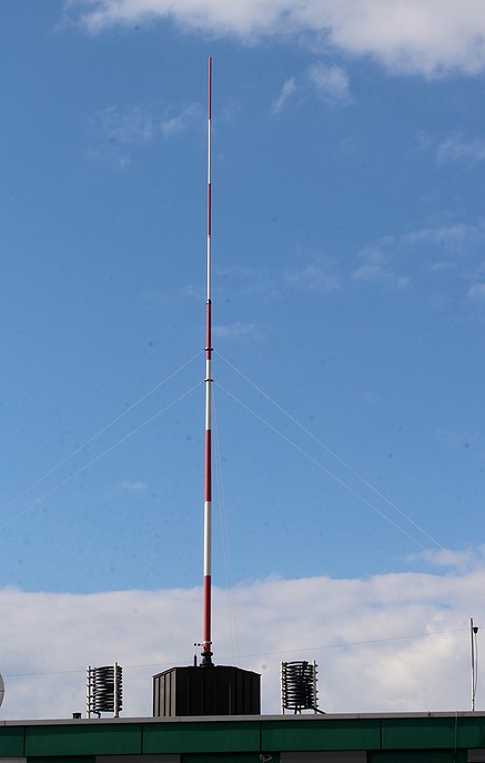 cham-2.jpg