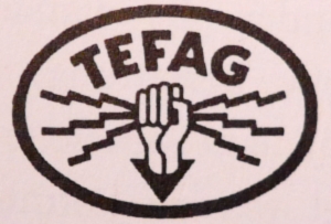 logo-tefag-2.jpg